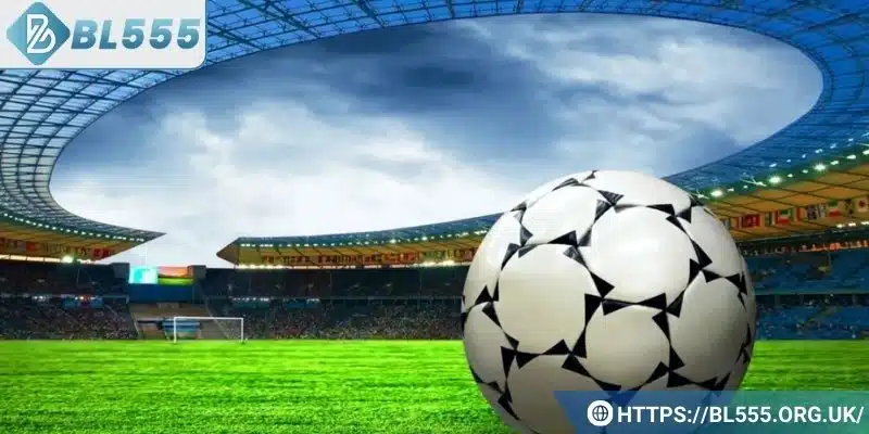 Tổng hợp hình thức cá cược thể thao được yêu thích nhất